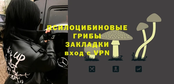 apvp Аркадак