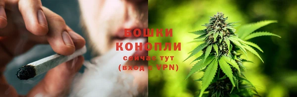 apvp Аркадак