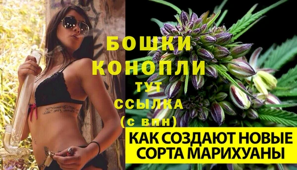 apvp Аркадак