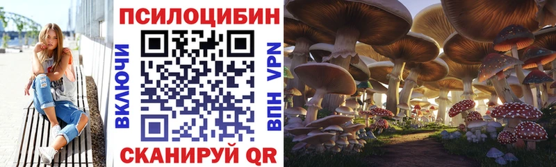 Купить закладки  Сосновоборск  Галлюциногенные грибы ЛСД 